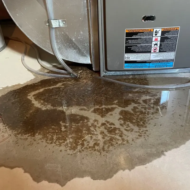 Pipe Burst and Leak Restoration in Hoonah-Angoon Census Area, AK